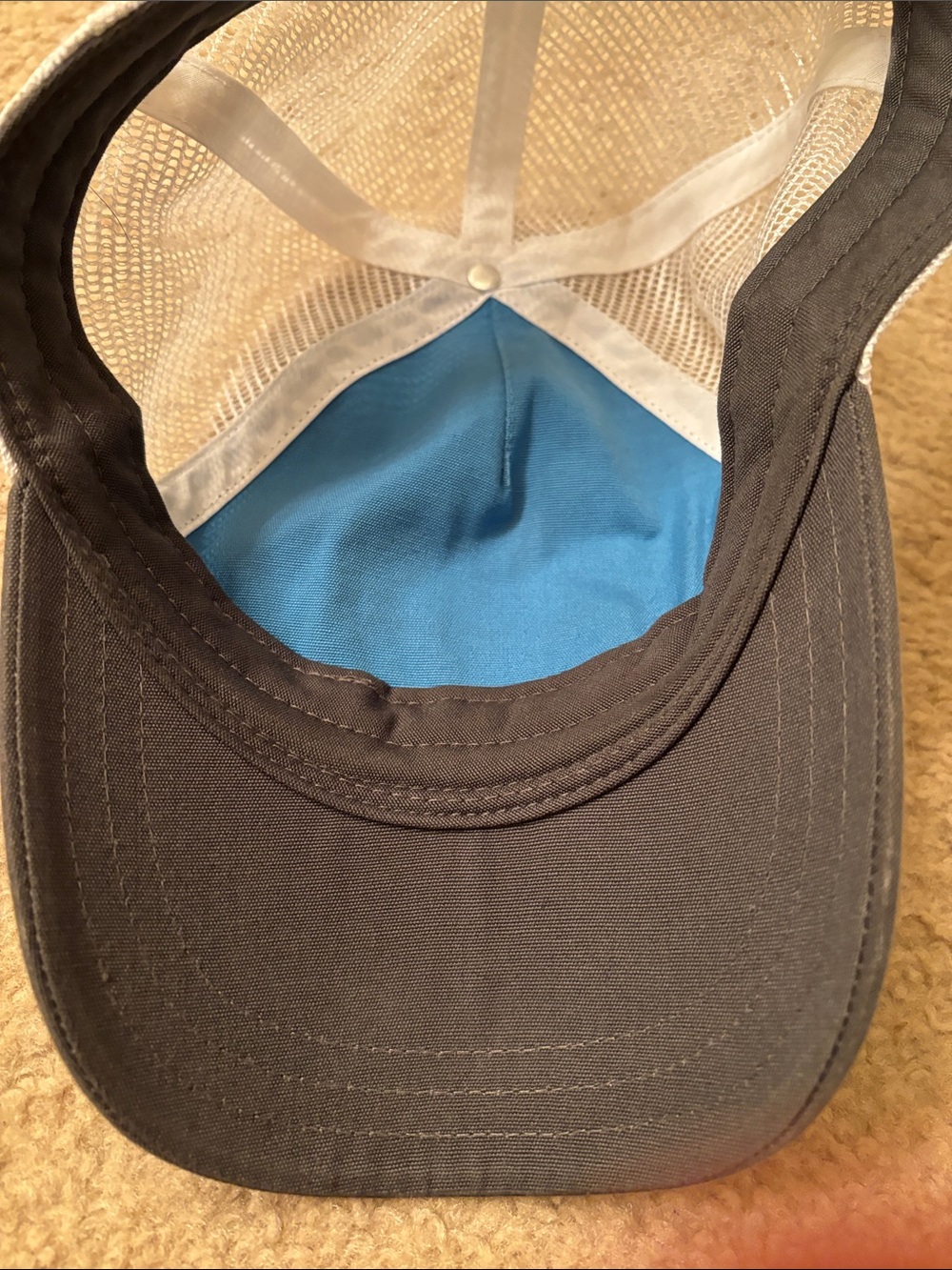 Patagonia Buffalo SnapBack trucker hat - Picture 2 of 5